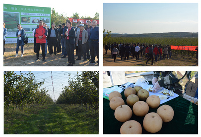 強化技術引領，加快推進水產養殖現代化