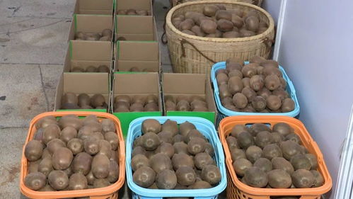 河源鄉(xiāng)村振興農(nóng)產(chǎn)品展銷會(huì)開(kāi)幕 300多種特色農(nóng)產(chǎn)品，共繪鄉(xiāng)村新畫(huà)卷