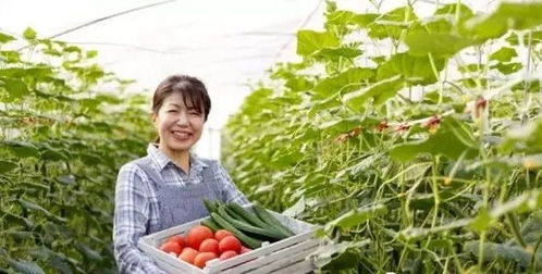 三產融合，共贏未來 如何將休閑農業、鄉村旅游與有機農產品種植打造成最佳營銷組合